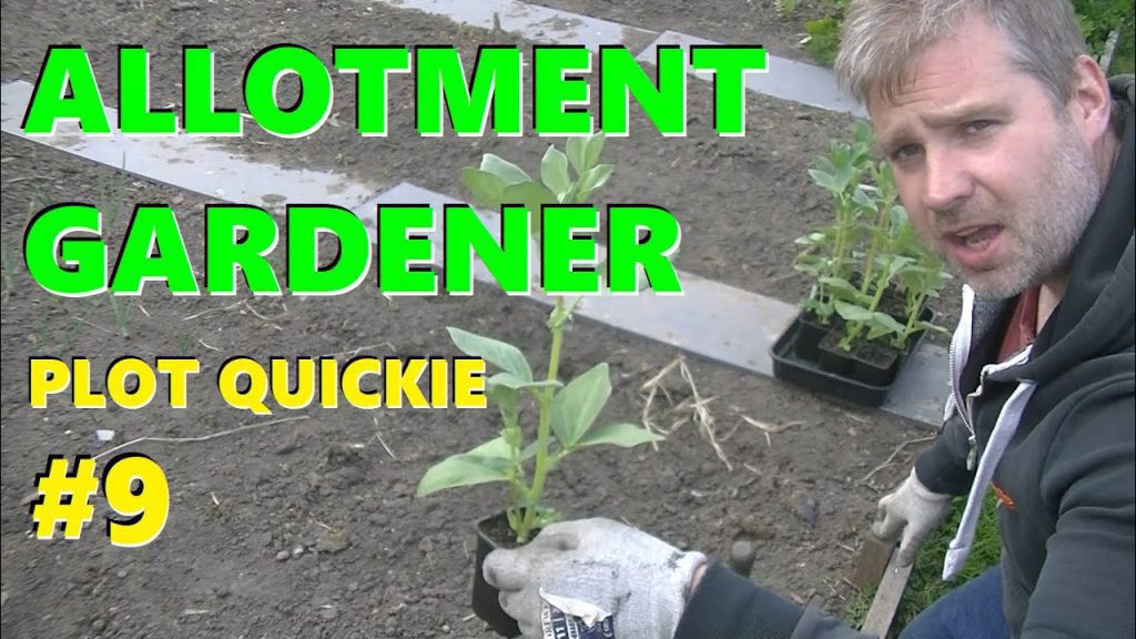 Growing Vegetables Nottingham vlog