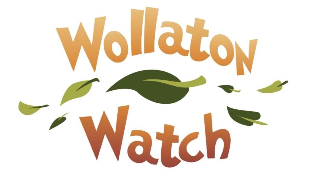 Wollaton Watch #notts